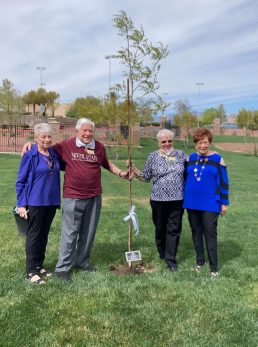 Temple Bet Emet Las Vegas -Planting a tree for Tu b'Shvat